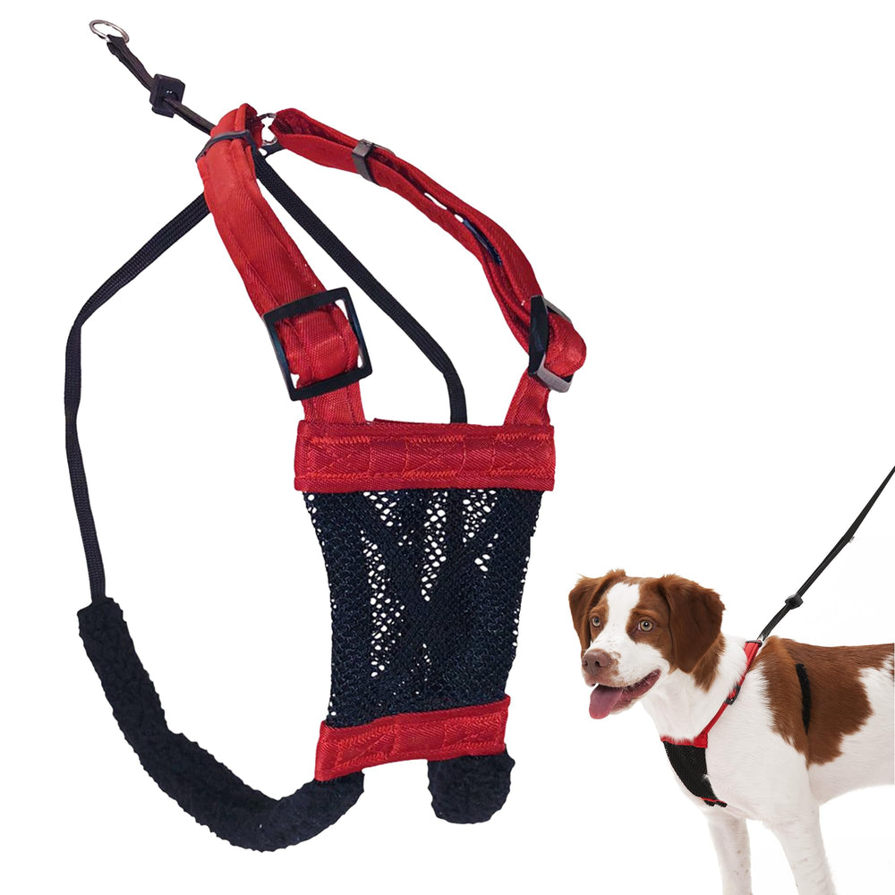 Sporn No Pull Harness elastic chest enables gentle steering for calmer walks.
