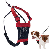 Sporn No Pull Harness elastic chest enables gentle steering for calmer walks.