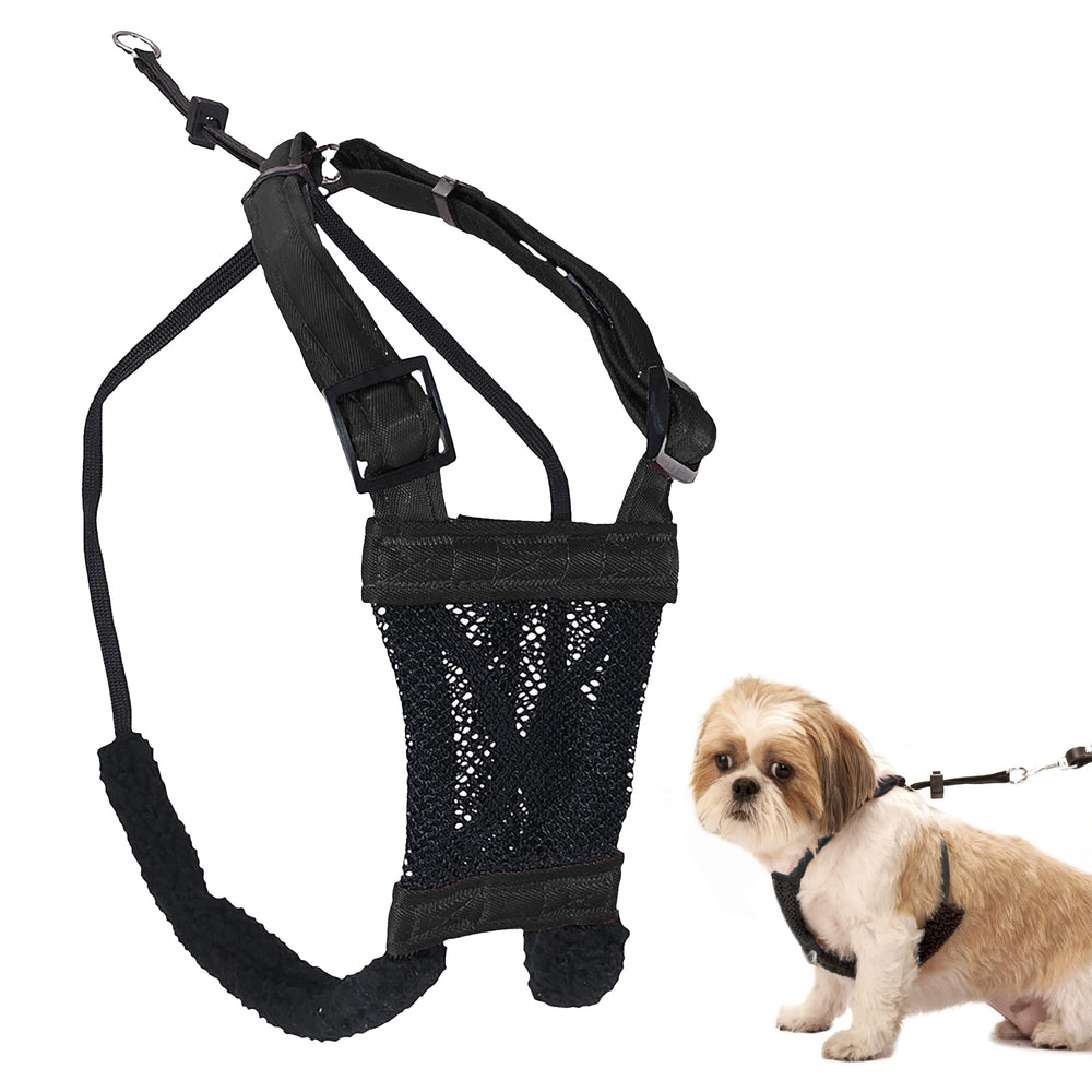 Sporn No Pull Harness front view for gentle leash control during walks.