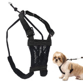 Sporn No Pull Harness front view for gentle leash control during walks.