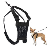 Sporn No Pull Harness front view offers secure fit for extra-small breeds.