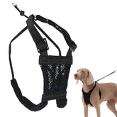Sporn No Pull Harness front view demonstrates controlled, stress-free walks.