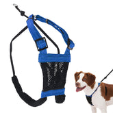 Sporn No Pull Harness blue, durable nylon mesh for comfortable daily walks.