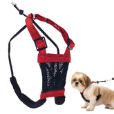 Sporn No Pull harness front view showing secure fit for small dogs.