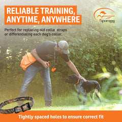 SportDOG collar strap buckle close-up demonstrating secure metal roller buckle for reliable fit.