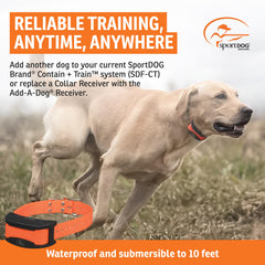 SportDOG collar receiver connected to Contain + Train, fence, and trainer setups
