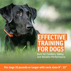 SportDOG waterproof collar receiver ready for outdoor use near water