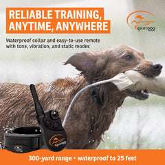 SportDOG YardTrainer compact receiver on dog shows lightweight, comfortable fit during sessions.