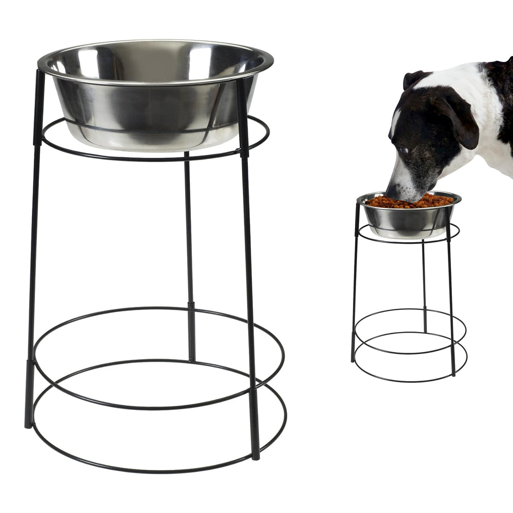 SPOT Hi Rise wire stand elevating meals for comfortable feeding.