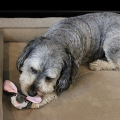 SPOT Skinneeez rabbit toy shows 19 squeakers for lively sound
