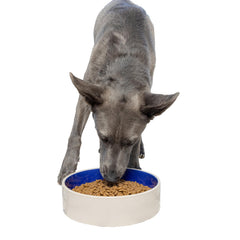 SPOT Standard Crock Dish top view highlights durable ceramic construction for long-lasting meals.