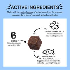 Spot & Tango Allergy + Immune bite sized chews are easy to offer during daily routines