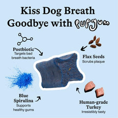 Spot & Tango PupGum chews close-up highlighting turkey flavor