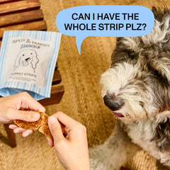 Spot & Tango Turkey Strips lean white-meat close-up emphasizes protein for a healthy coat.