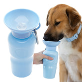 Springer 22oz blue dog water bottle for on-the-go hydration.