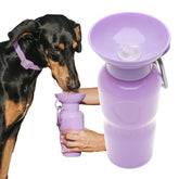 Springer dog water bottle 22oz Lilac in full view showing portable hydration.