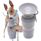 Springer dog water bottle cap open for easy hydration on walks.