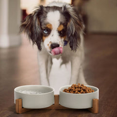 SPUNKYJUNKY double bowls elevating feeding for food and water within reach