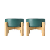 SPUNKYJUNKY ceramic elevated dog bowls two-pack in green promote comfortable dining posture