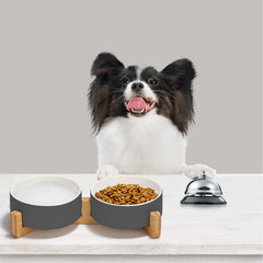 SPUNKYJUNKY double-bowl design keeps food and water organized for pets.