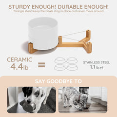 SPUNKYJUNKY non-slip ceramic bowls provide stable dining for pets