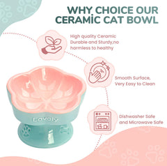 S&Q'S CERAMICS whisker-friendly cat bowl highlights gentle edges for meals.