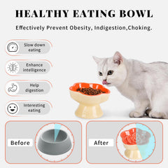 S&Q'S CERAMICS durable ceramic bowl with non-slip base reduces movement during feeding
