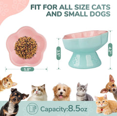 S&Q'S CERAMICS raised cat bowl pink tilt detail showing ergonomic height.