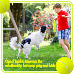 Sratte giant dog ball pack, six pieces, ready for training and daily play