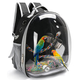 SSAWcasa bird backpack window view highlights outdoor scenery benefits for parrots
