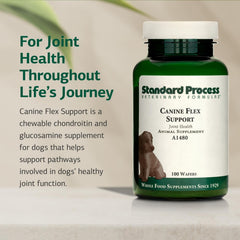 Boxed Standard Process Canine Flex Support packaging emphasizing whole-food ingredients