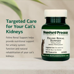 Standard Process Feline Renal Support tablets ready to give to your cat.