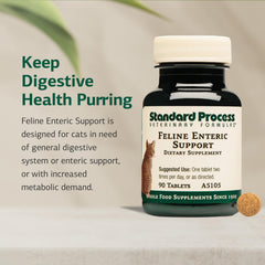 Crushed Form of Feline Enteric Support for flexible dosing with meals.