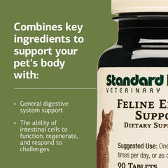 Feline Enteric Support mixed with food for easy administration.