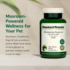 Standard Process Lion Mane extract close-up highlighting beta-glucans for immune support.