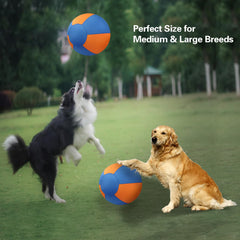 Stcohyz durable outer shell supports long-lasting play for active dogs.