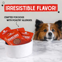 Stella & Chewy's Shredrs 24-pouch bundle ready for easy meals.