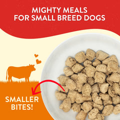 Lil' Bites 7 oz bag close-up showing grain-free beef texture.