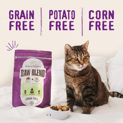 Stella & Chewy's Raw Blend grain-free formula avoids corn and soy for easier digestion.