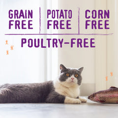 Stella & Chewy's Raw Blend grain-free formula delivers easy digestion for cats
