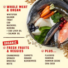 Six fish protein sources highlighted in the Ocean Recipe.