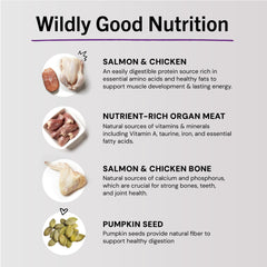 Close-up of 98% wild-caught salmon and cage-free chicken ingredients.