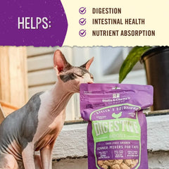 Pumpkin and pineapple fiber in Stella's Solutions Digestive Boost for digestion support