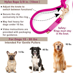 Sticks N' Bones Co two-dog leash helps manage two dogs