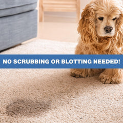 Stink Free cat-dog urine stain removal on rug shows visible improvement