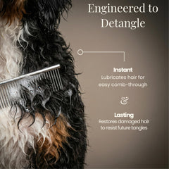 Stonepaw Doodle Shampoo applying moisture to a curly doodle coat.