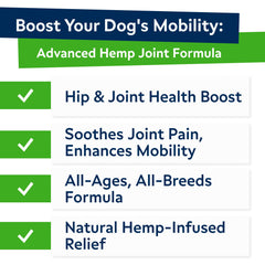 Close-up of STRELLALAB hemp glucosamine chews texture emphasizing palatability
