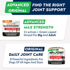 STRELLALAB Collagen dog joint support chews nurture connective strength