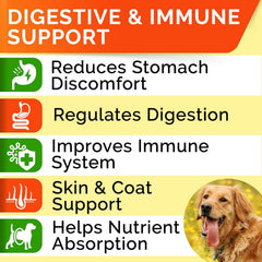 StrellaLab probiotic chews promote a healthy tummy on daily adventures