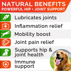 Closeup of STRELLALAB soft chews for easy daily administration.